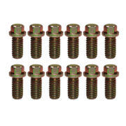 9824 – Bolt Kit, Small Block Chevy Header 6pt Head 12pc Kit (Gold Zinc Steel)