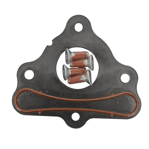 LS cam retaining plate.