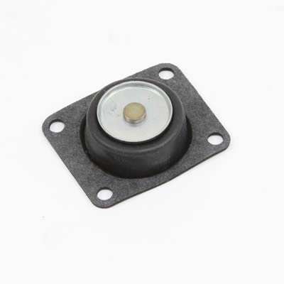 Accelerator Pump Diaphragms SUM-200253