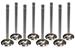 Race Valves for Chevrolet SUM-V8030-8