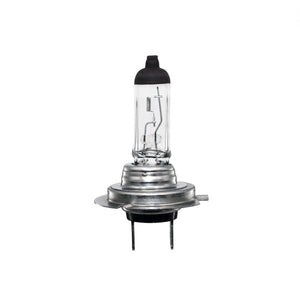 Halogen Bulb H7-55W