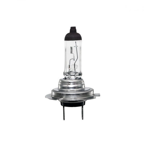 Halogen Bulb H7-55W