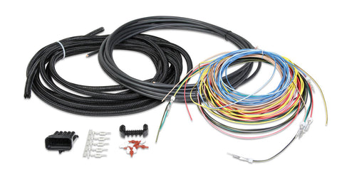 Holley EFI Systems Wiring Harnesses 558-306