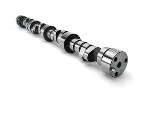 Lunati Voodoo Camshafts 20080722