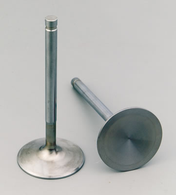 Manley 11524-8 - Manley Race Series Stainless Steel Valves