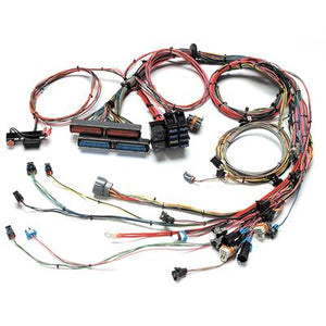 Painless Performance Fuel Injection Harnesses 60509 GM LS1 Kit