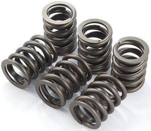 LS Pro Dual Springs with retainers kit