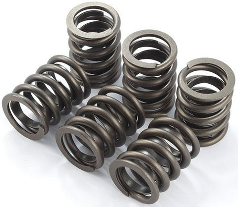 LS Pro Dual Springs with retainers kit